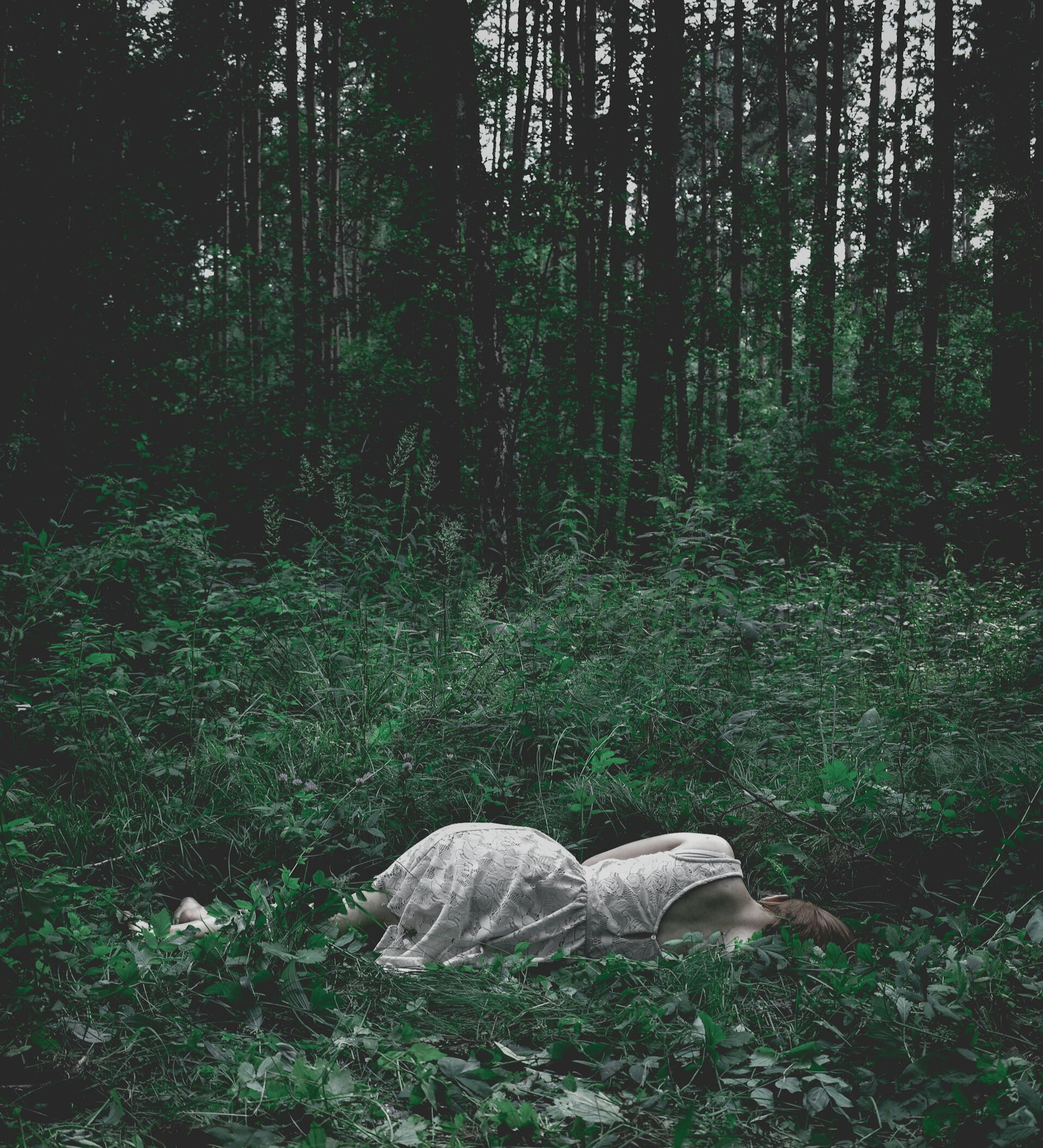 Photo by Alex Dukhanov on Unsplash